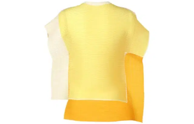 ISSEY MIYAKE Framed Pleats Top T