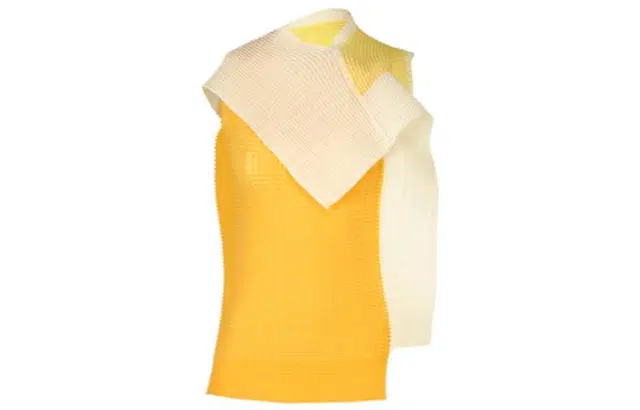 ISSEY MIYAKE Framed Pleats Top T