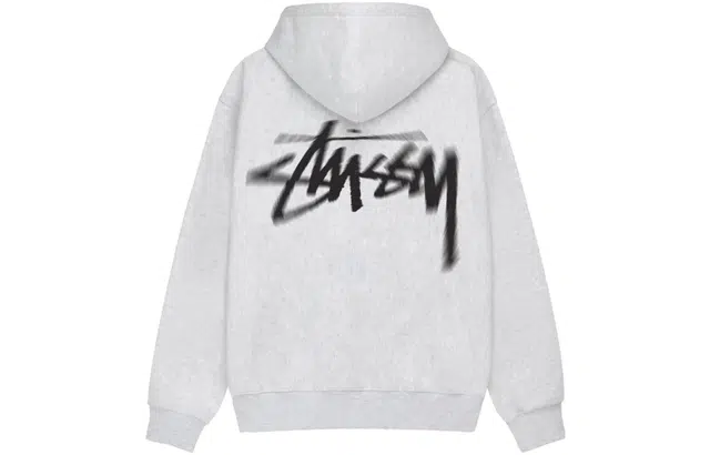 Stussy FW23 DIZZY STOCK HOODIE Logo