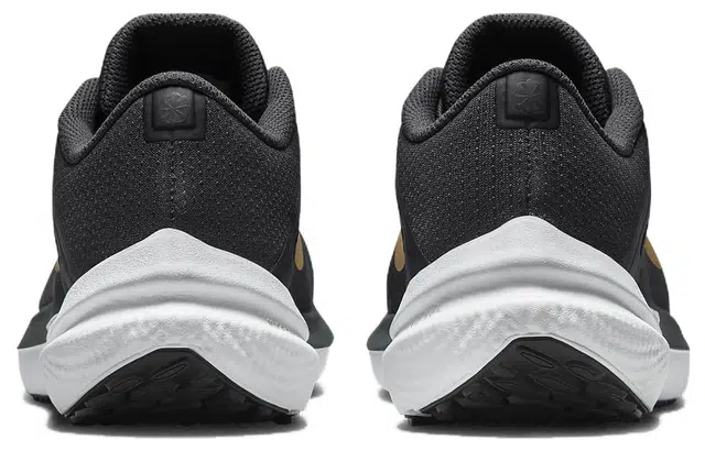 Nike Air Winflo 10