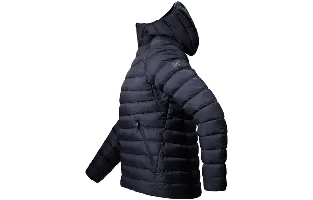 Arcteryx cerium hoody logo
