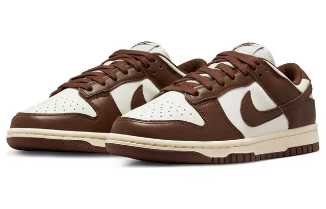 Nike Dunk Low "Surfaces In Brown And Sail"