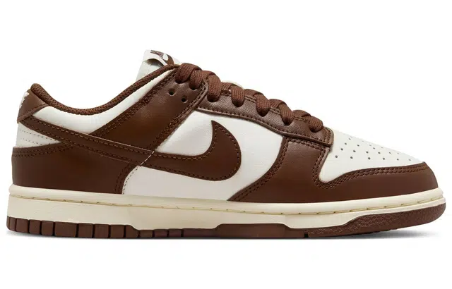 Nike Dunk Low "Surfaces In Brown And Sail"