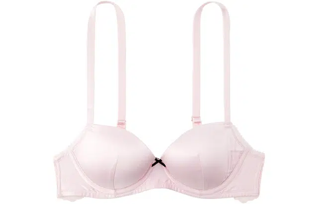 Victoria's Secret Dream angels 34
