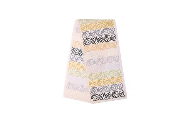 LOEWE Scarf