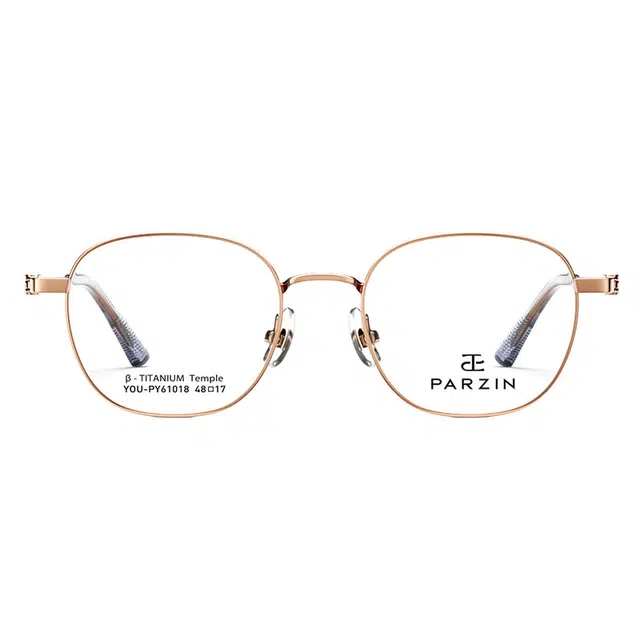 PARZIN 61018