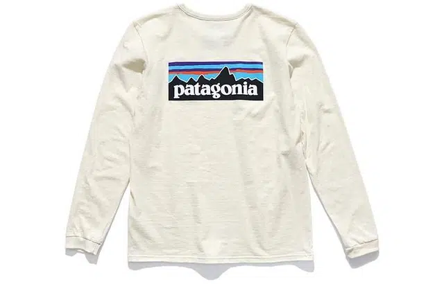patagonia P-6 Logo Responsibili-Tee T