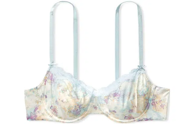 Victoria's Secret Dream Angels