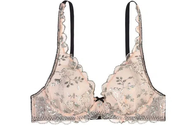 Victoria's Secret Dream Angels V