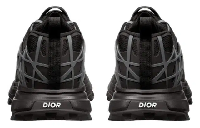 DIOR B31