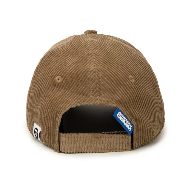 Aape