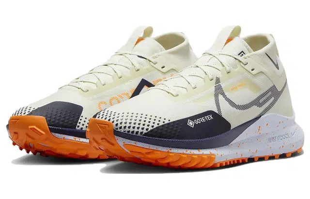 Nike Pegasus Trail 4 GORE-TEX