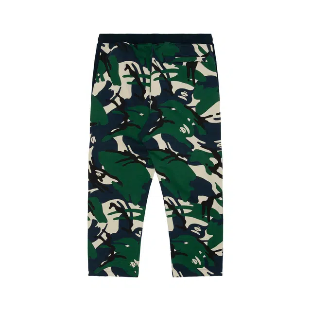 Aape