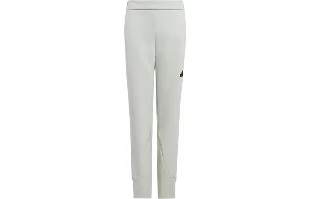 adidas SS24 Z.N.E. Pants Logo
