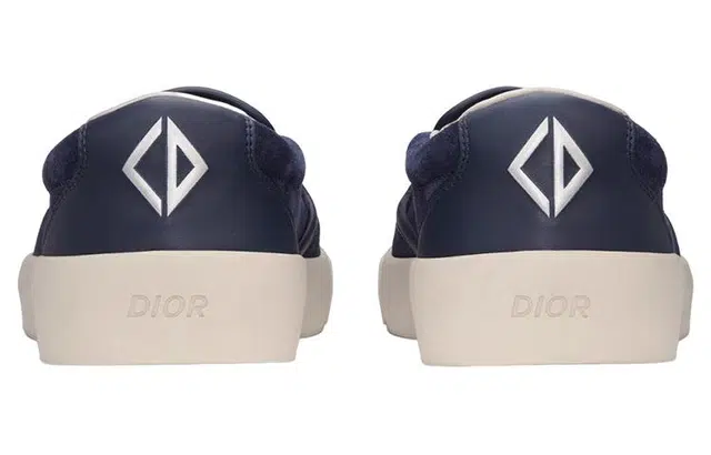 DIOR B101