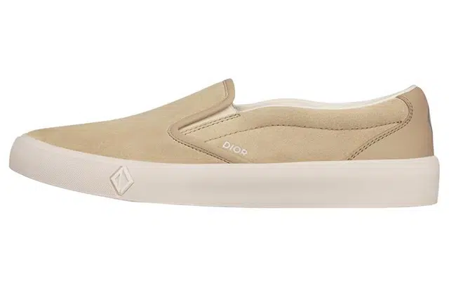 DIOR B101
