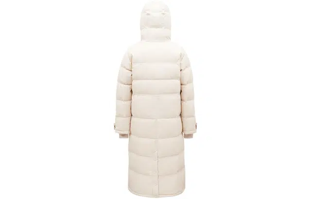 LINCchic FW23