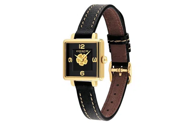 COACH Cass 30 14503695-coach