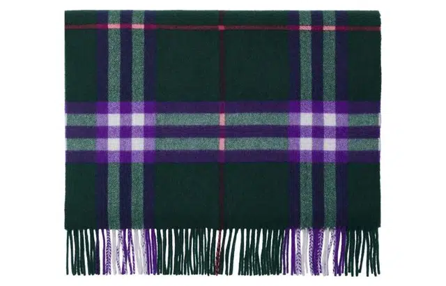 Burberry Scarf