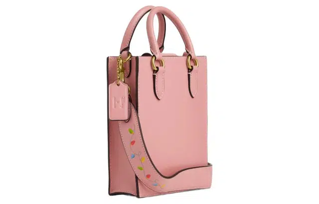 COACH x Disney 17 North SouthLogo Tote