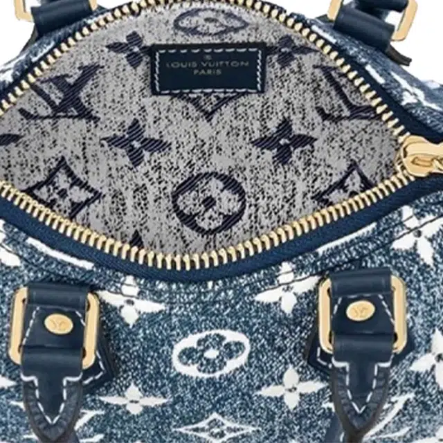 LOUIS VUITTON Speedy Nano