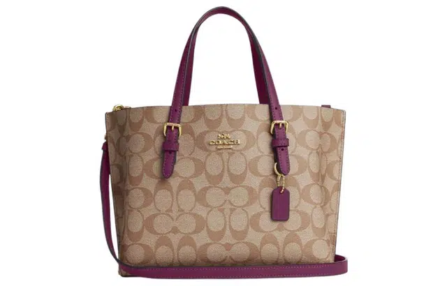 COACH Mollie 25 Tote