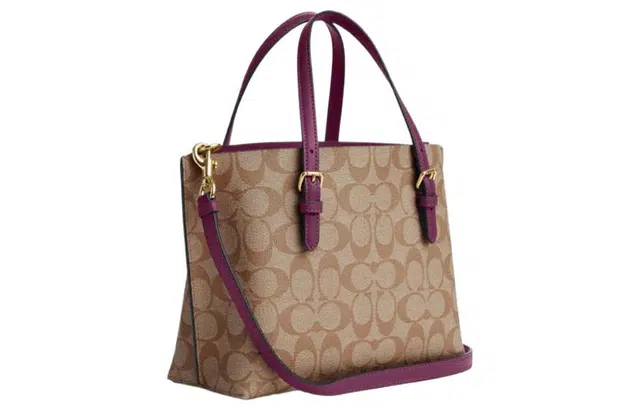 COACH Mollie 25 Tote