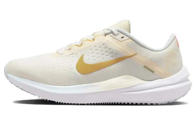 Nike Air Winflo 10