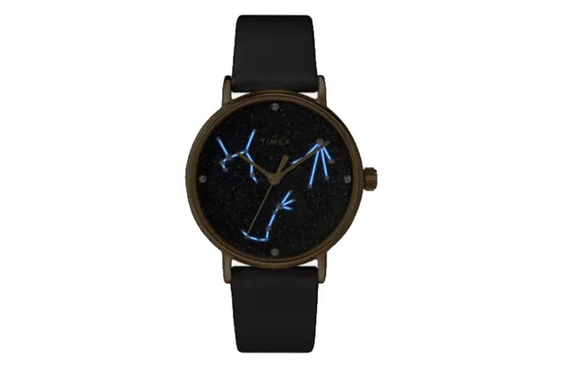 TIMEX TREND 37mm 30 TW2T87600