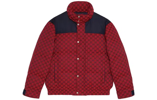 Gucci FW23 Printed Down Hoodie Jacket Red