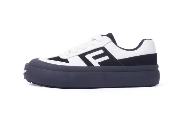 F 2 E 3