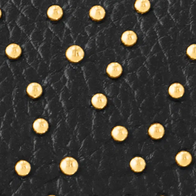 LOUIS VUITTON Nano Speedy