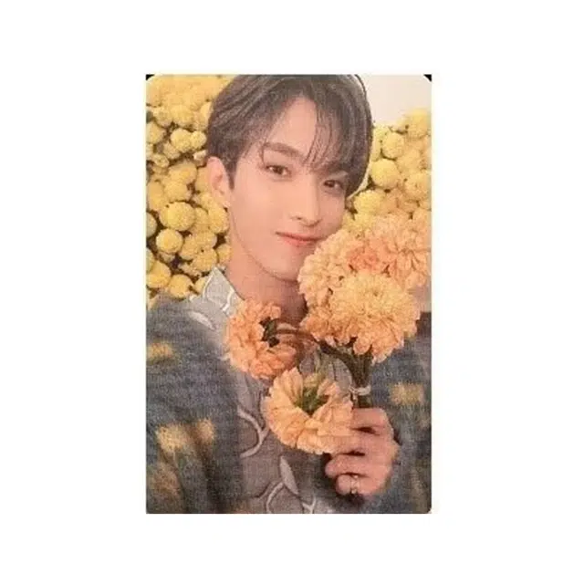 HYBE SEVENTEEN 8Your Choice