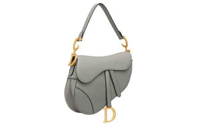 DIOR Saddle D