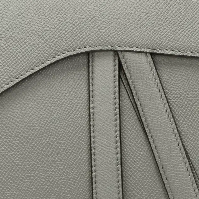 DIOR Saddle D