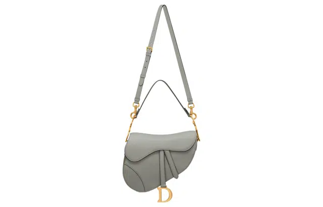 DIOR Saddle D
