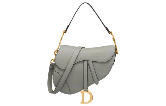 DIOR Saddle D