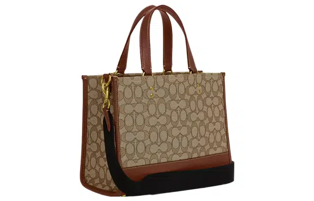 COACH x Disney Dempsey 29 Tote