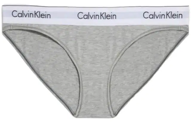 Calvin Klein Modern Cotton Bikini Brief