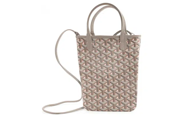 GOYARD Poitiers 170