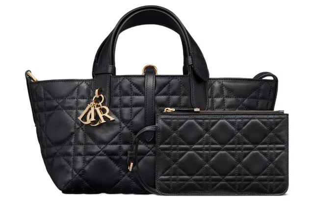 DIOR Toujours