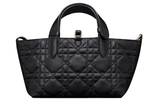 DIOR Toujours