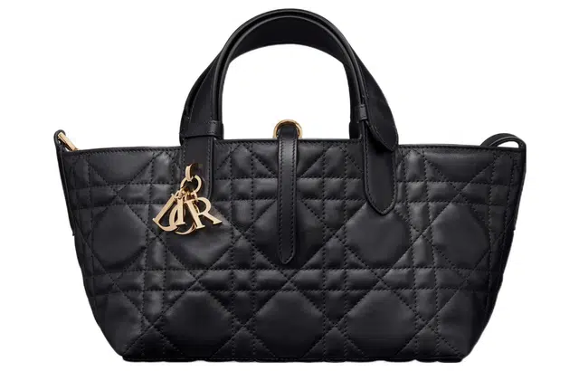 DIOR Toujours