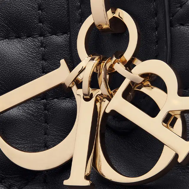 DIOR Toujours