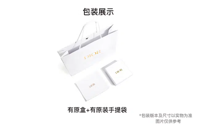 DIOR CD Signature CDLogo