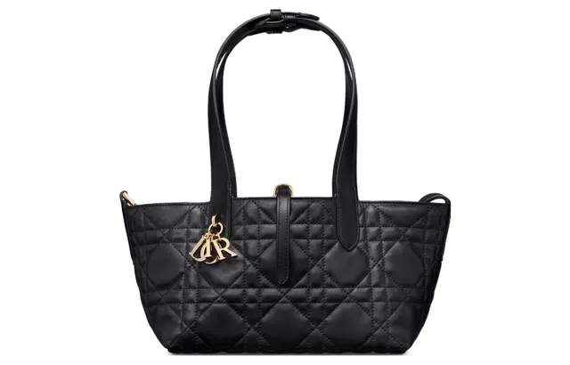 DIOR Toujours