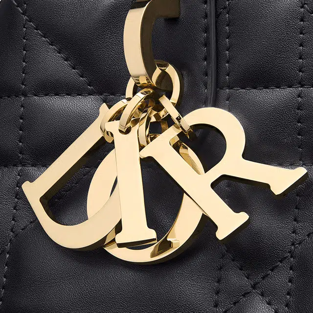 DIOR Toujours