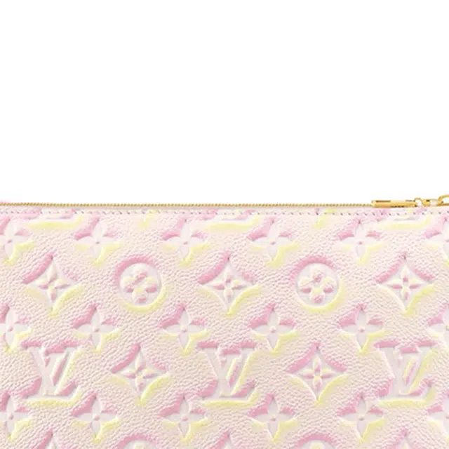 LOUIS VUITTON Multi Pochette Accessories