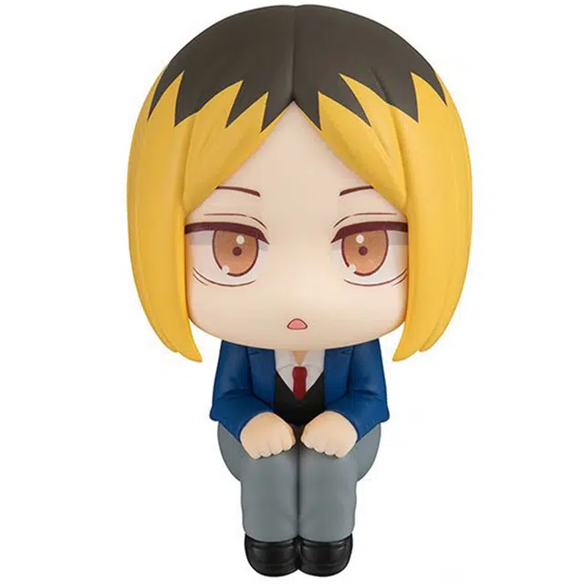 MegaHouse look up Q