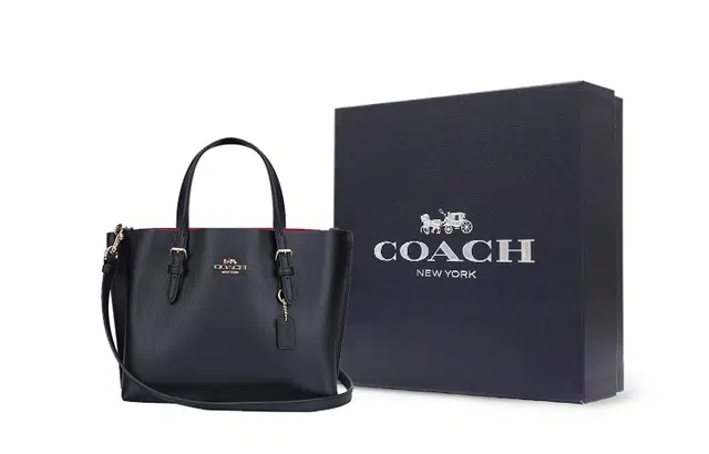 COACH Mollie 25 Tote
